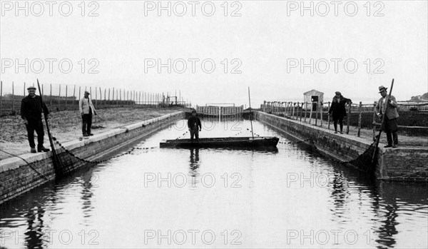 italie, toscane, orbetello, pêcheurs à peschiera di nassa, 1920 1930