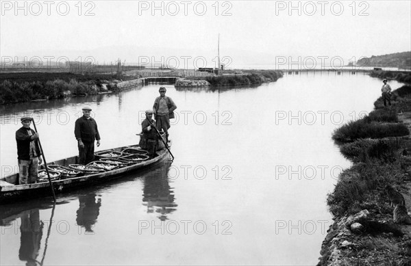 italie, toscane, orbetello, pêcheurs à peschiera di nassa, 1920 1930