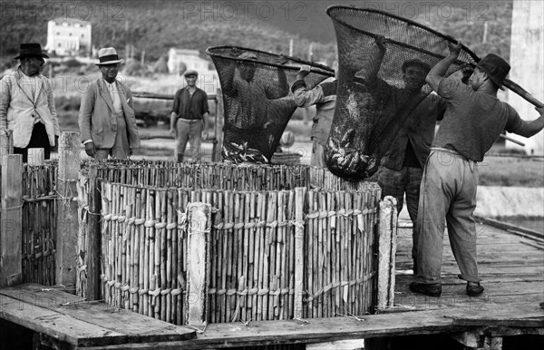 italie, toscane, orbetello, pêcheurs au travail, 1920 1930