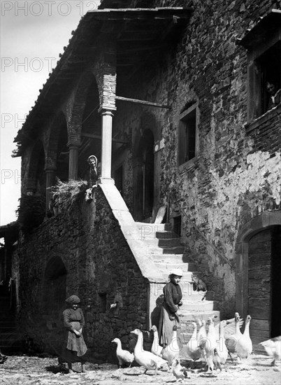 europe, italie, toscane, poppi, paysannes dans une ferme près de porrena, 1920 1930