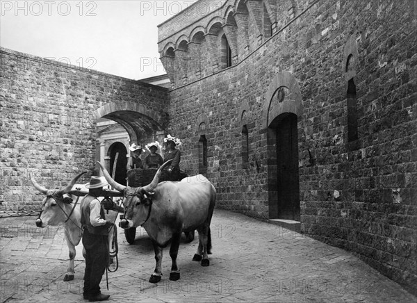 europe, italie, toscane, sienne, intérieur du château de belcaro, 1910 1920