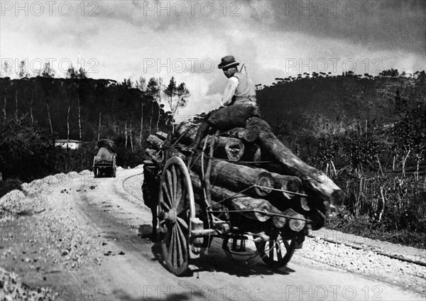 europe, italie, toscane, san baronto, portrait d'un homme au transport de bois, années 1920