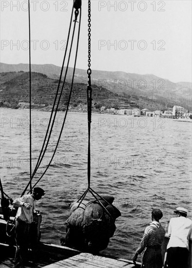 europa, francia, corsica, 1920