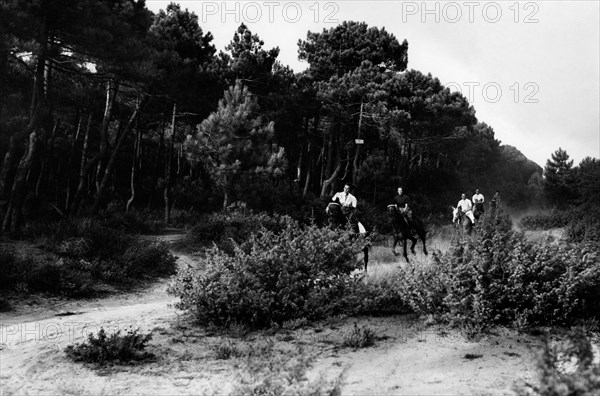 europe, italie, toscane, la pinède de viareggio, 1946