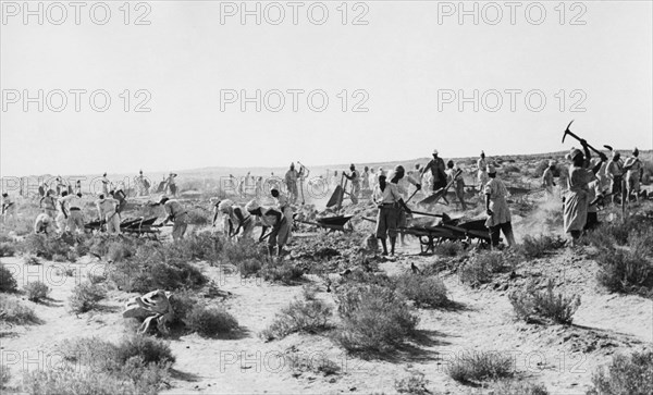 afrique, libye, ouvriers pendant la construction de la route côtière, 1920