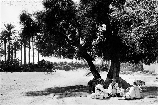 afrique, libye, hommes au repos dans une oasis à tripoli, 1920 1930