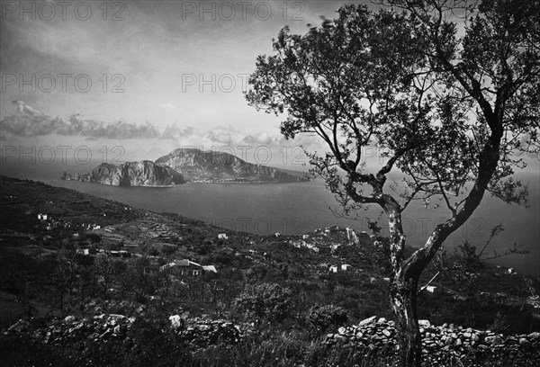 italie, campanie, île de capri, vue de sant'agata, 1955