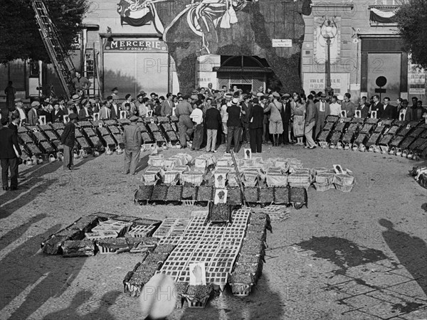 italie, campanie, naples, fête du raisin, 1920