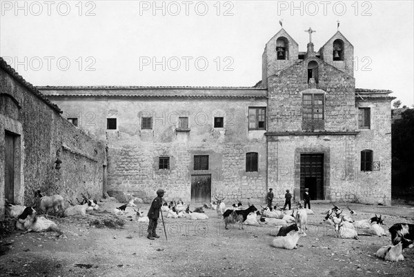 europa, italy, sicily, canicattiì, bergers avec chèvres, 1910 1920