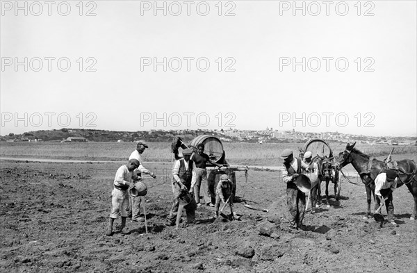 italie, sicile, gela, irrigation manuelle dans la plaine, 1937