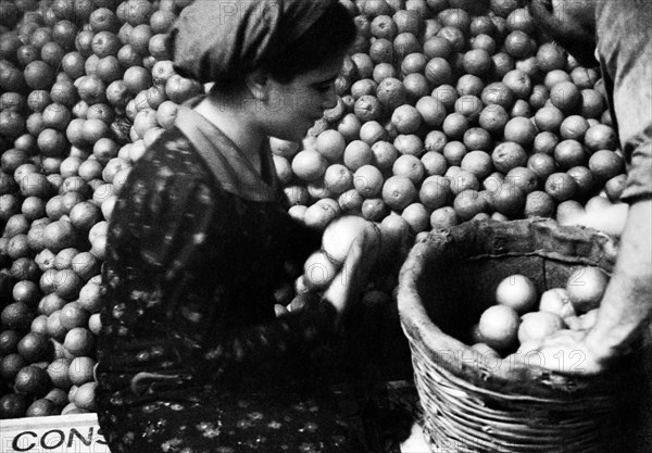 italie, sicile, catane, industrie alimentaire, transformation des fruits, années 1920