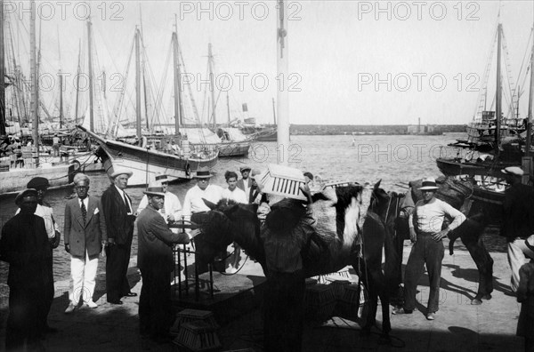 Europe, Italie, Sicile, Trapani, l'île de Pantelleria, pèse du raisin au port, 1920-30