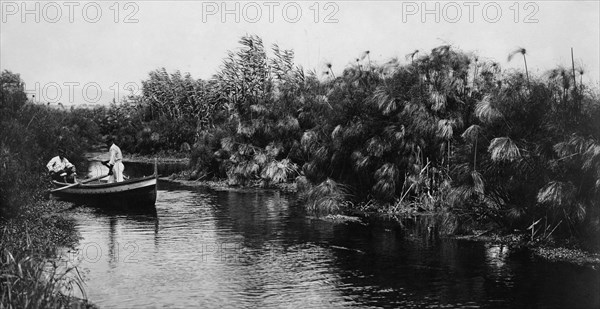 italie, sicile, syracuse, le fleuve anapo et avec des papyrus, 1910 1920