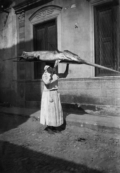 italie, calabre, brognara, femme avec espadon sur la tête, 1910 1920