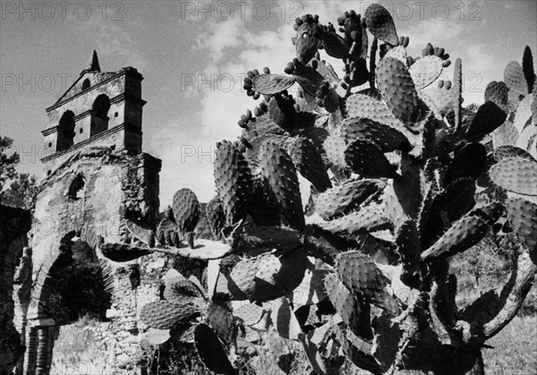 italie, calabre, brancaleone, santa maria dei tridetti, 1930