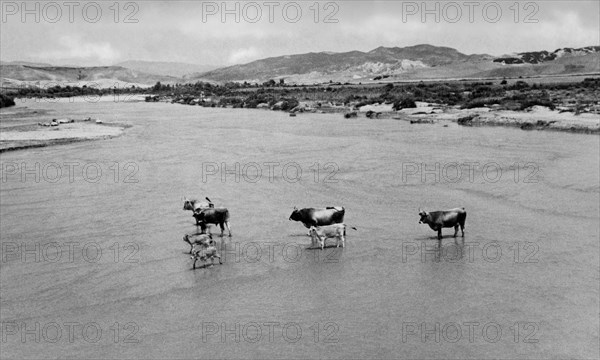 europe, italie, calabre, panorama du fleuve neto, 1920 1930