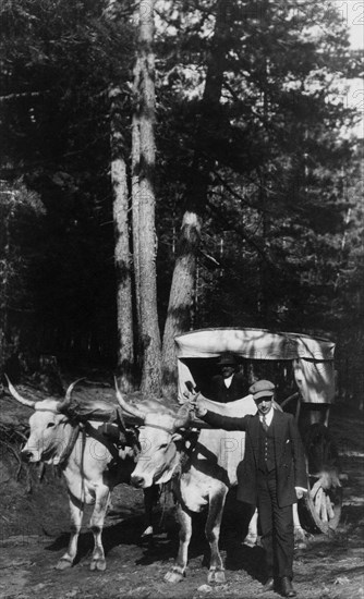 europe, italie, calabre, voyageurs dans les montagnes de la sila, 1920 1930