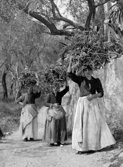europa, italy, calabria, silane peasant women, 1910 1920