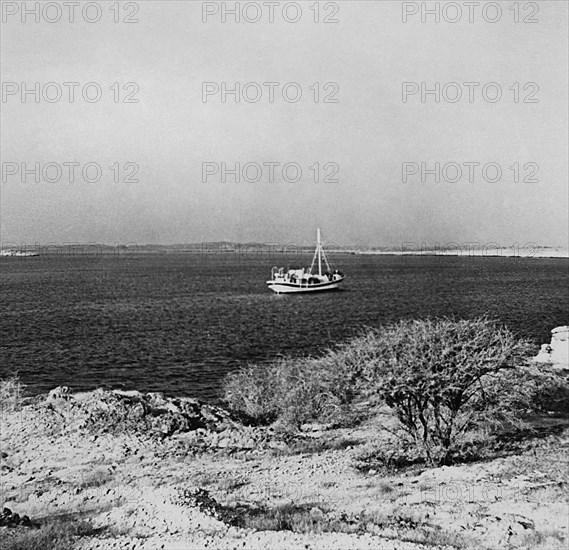 afrique, eritrea, mer rouge, îles dahlak, 1940