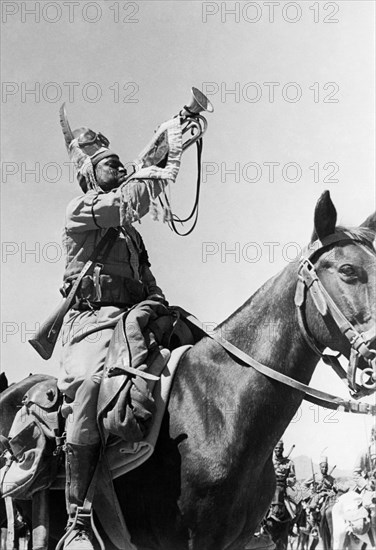 afrique, eritrea, assemblée de cavalerie, 1920 1930