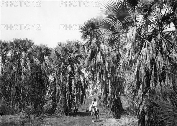 afrique, eritrea, le fleuve gascon, 1920 1930