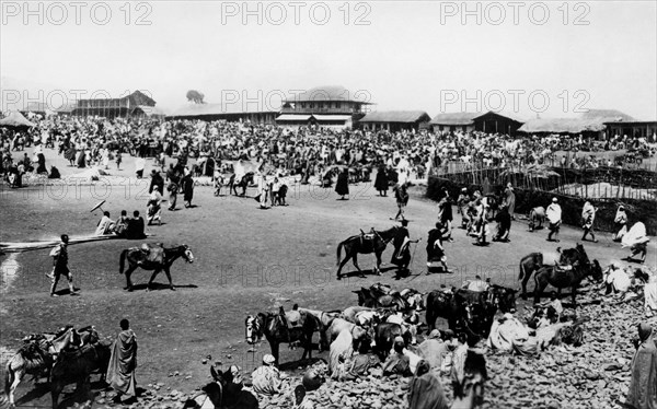 afrique, éthiopie, addis abeba, le grand marché, 1920 1930