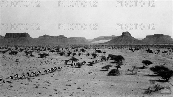afrique, éthiopie, dancalie, vers le site d'aela, 1920 1930