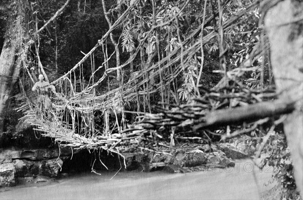 afrique, congo belge, traversée de l'inkissi sur un pont de liane, 1920