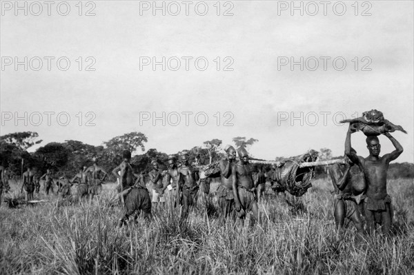 afrique, congo belge, des membres de la tribu mangbetu transportent de la viande obtenue auprès de pygmées, 1927 1930