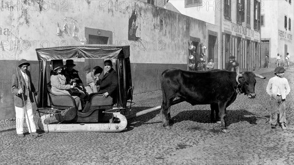 europe, portugal, île de madère, funchal, traîneau à passagers, années 1920