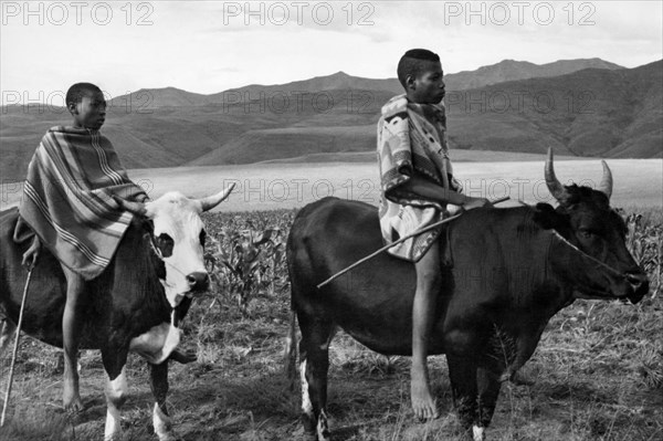 afrique, afrique du sud, lesotho, basutoland, transport local, 1920 1930