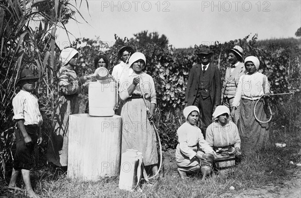 europe, italie, piedmont, monferrato, traitements fongicides, années 1920