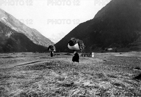 europe, italie, val d'aoste, cogne, transport de foin, 1920 1930