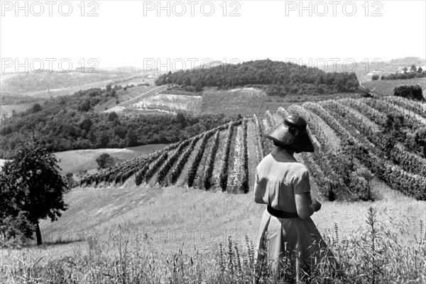 europe, italie, piedmont, albugnano, vignobles, 1959