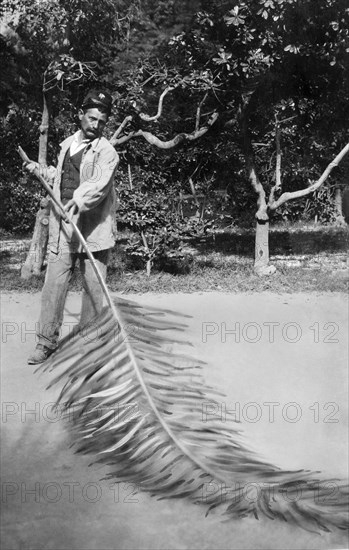 europe, italie, ligurie, san remo, éboueur au travail, 1900 1910