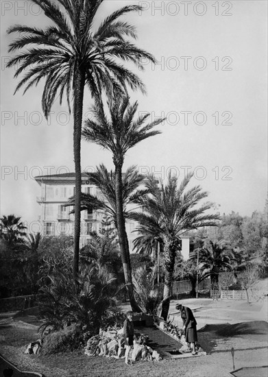 europe, italie, ligurie, san remo, femmes pendant un match de golf, 1920 1930