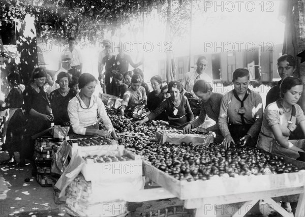 europe, italie, abruzzes, chieti, tri des châtaignes, 1920 1930