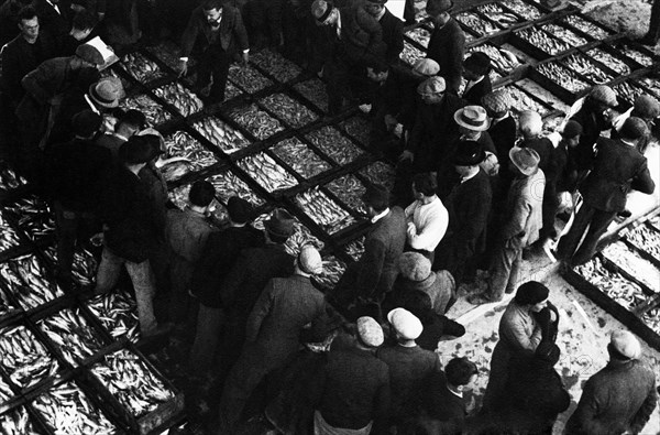 europa, italia, abruzzo, giulianova, mercato del pesce all'ingosso, 1930