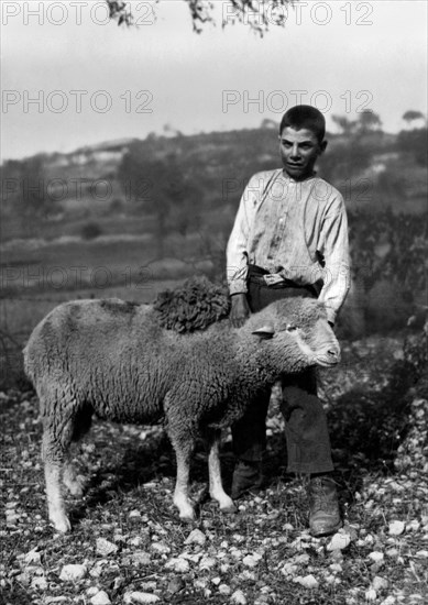 europe, italie, abruzzes, groupe de paysans en train de faucher, 1910 1920