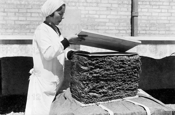 europe, italie, abruzzes, séchage de raisins pour le vin passito, 1920 1930