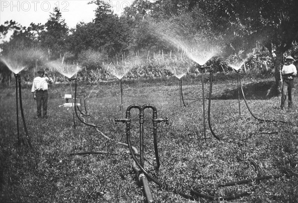 champ, irrigation, ligurie, italie 1930