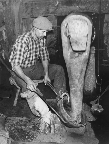 artisan, sulmona, abruzzo, italie 1950