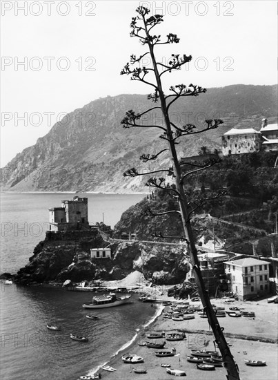 monterosso, ligurie, italie, 1961