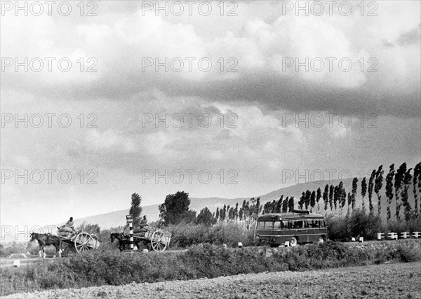 campagne, molise, 1959