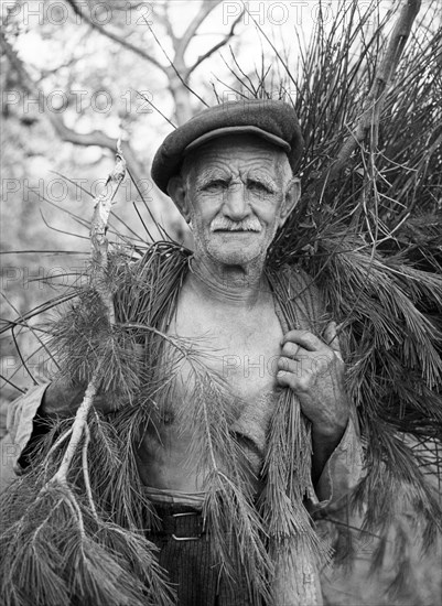 fisherman, cervo, liguria, italy 1955