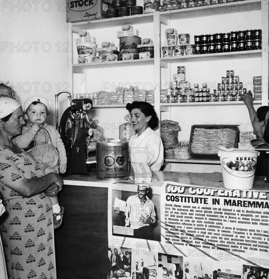 coopératives, maremma, toscane 1955