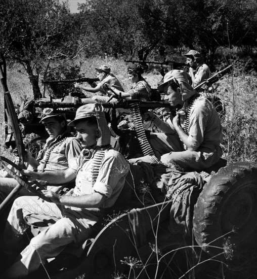 moyen-orient, israël, armée israélite, 1950 1960