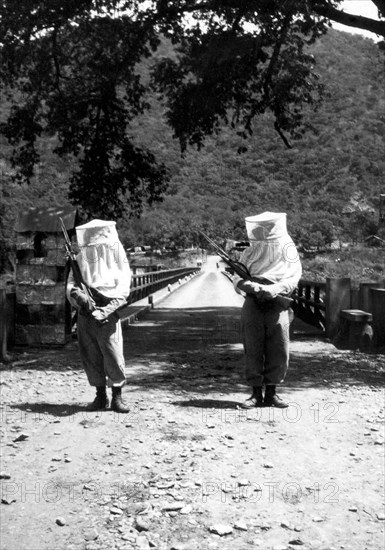 afrique, éthiopie, le pont sur le tacazzè près de mai timchet, 1920 1930