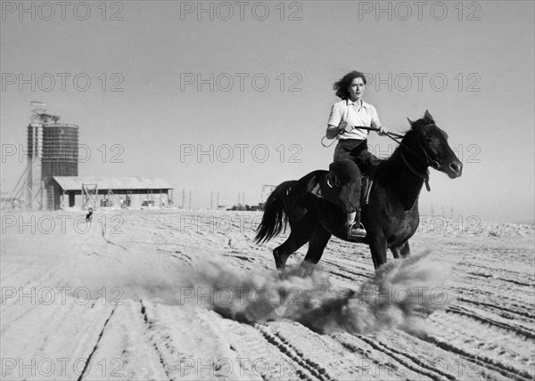 moyen-orient, israël, désert du negev, 1950