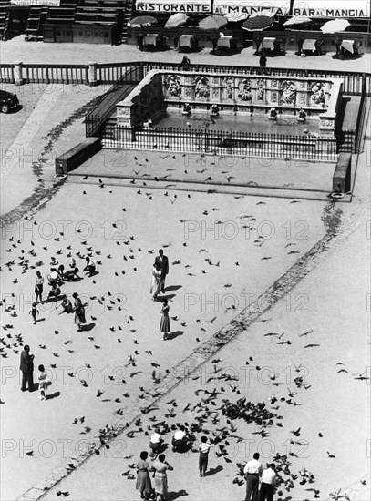 fontaine de gaia, piazza del campo, sienne, toscane, italie, 1954